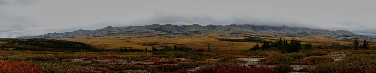 The Travelling Scientist