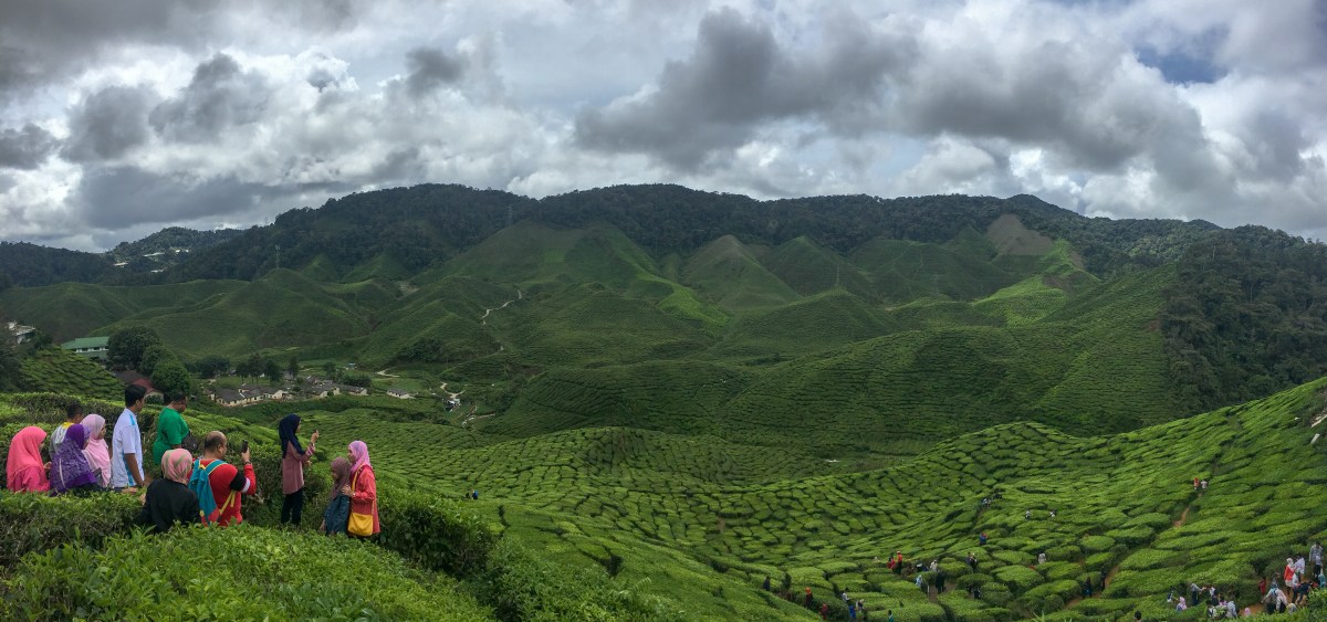 Cameron Highlands – Back to the Mainland and&nbsp;Pants
